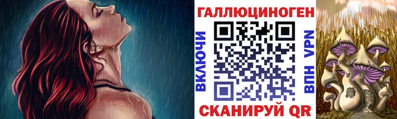 что такое   Псков  Галлюциногенные грибы MAGIC MUSHROOMS 